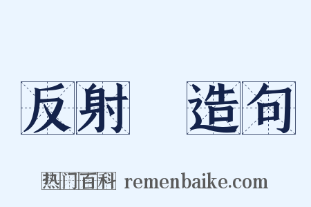 反射鏡造句是什么意思的图片